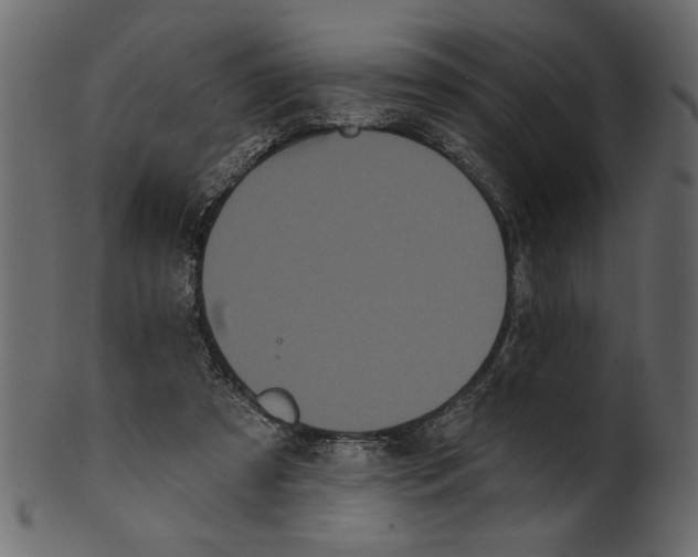 X0000100870305200807181242
