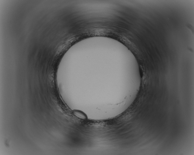 X0000100870306200807181242