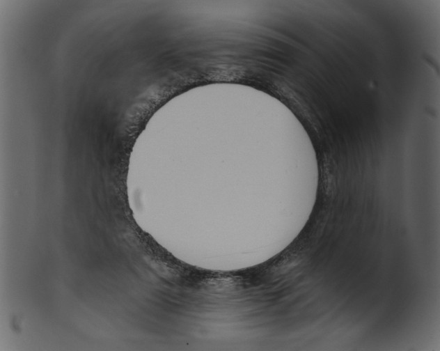 X0000100870307200807181242
