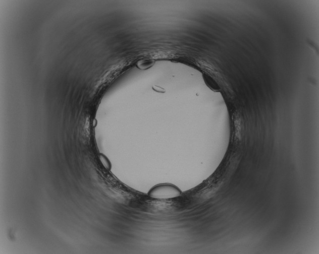 X0000100870308200807181242