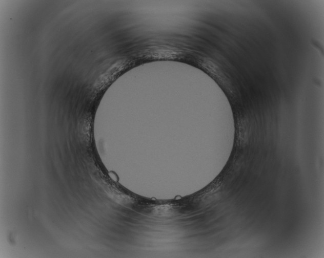 X0000100870309200807181242