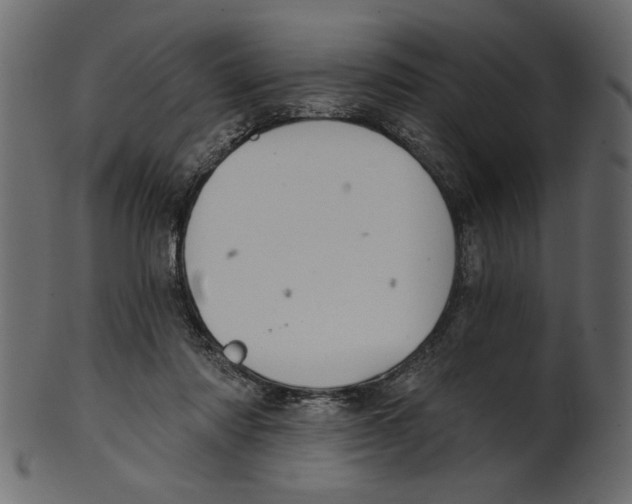 X0000100870310200807181242
