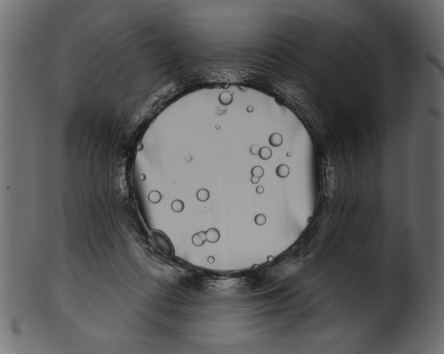X0000100870312200807181242