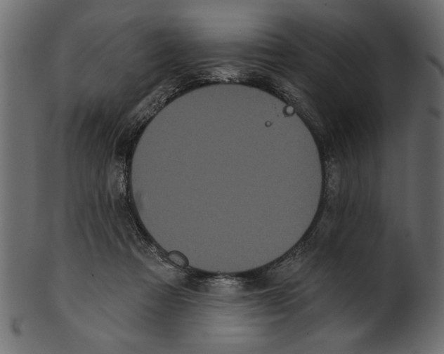X0000100870313200807181242