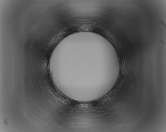 X0000100870314200807181242