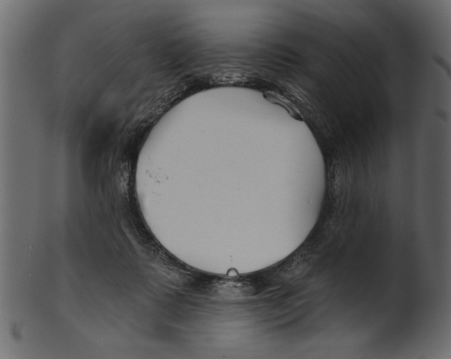 X0000100870315200807181242
