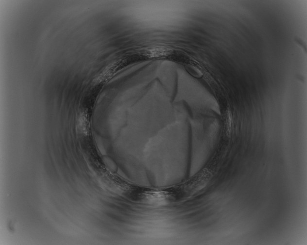 X0000100870316200807181242