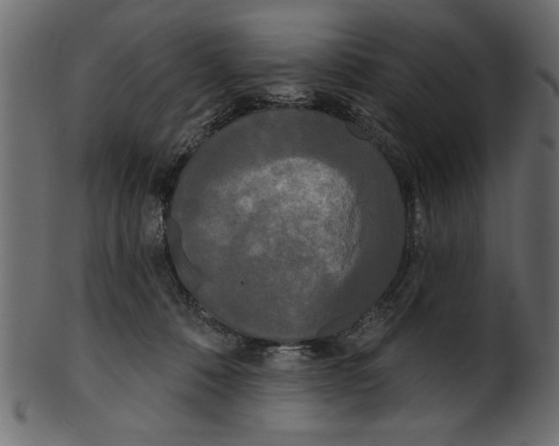 X0000100870320200807181242