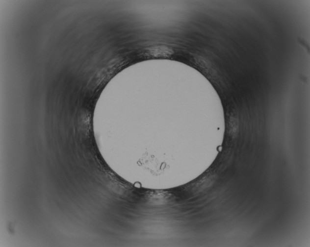 X0000100870321200807181242