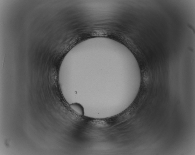X0000100870322200807181242