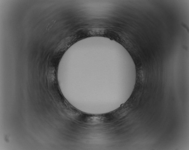 X0000100870323200807181242
