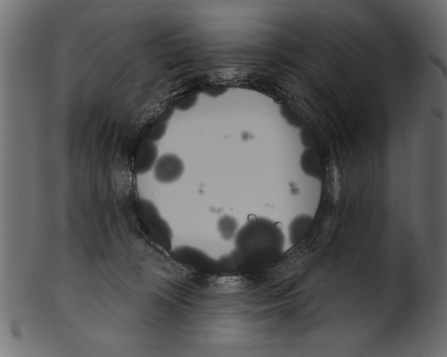 X0000100870324200807181242