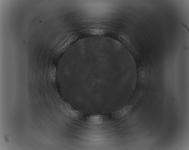 X0000100870325200807181242