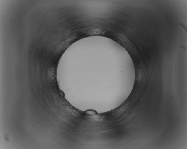 X0000100870326200807181242