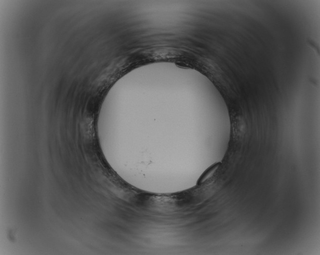 X0000100870327200807181242