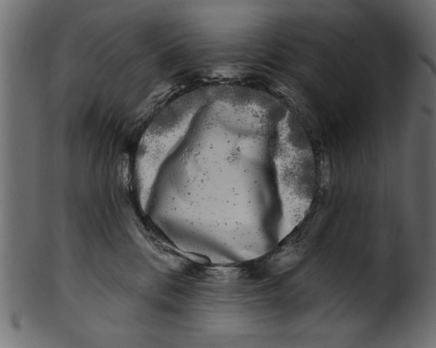 X0000100870328200807181242