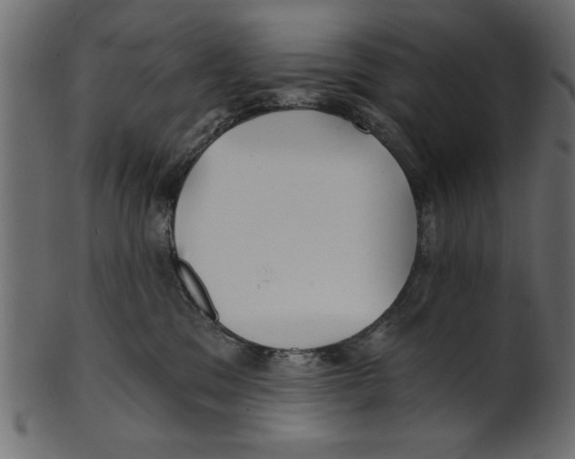 X0000100870329200807181242