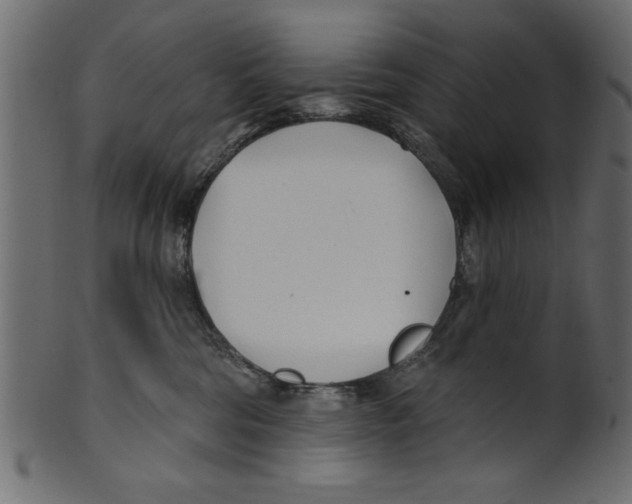 X0000100870330200807181242
