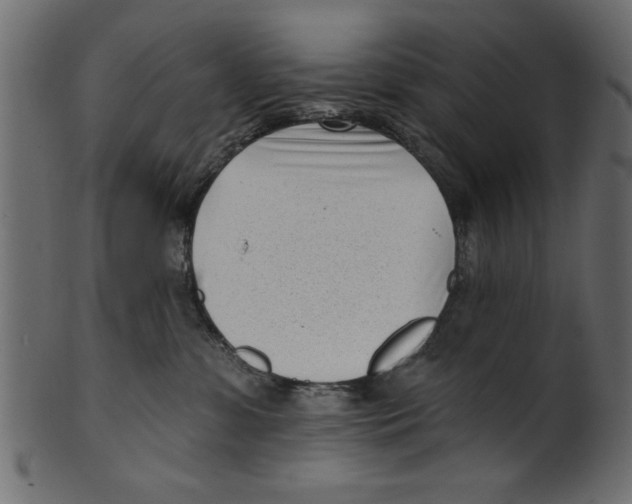 X0000100870331200807181242