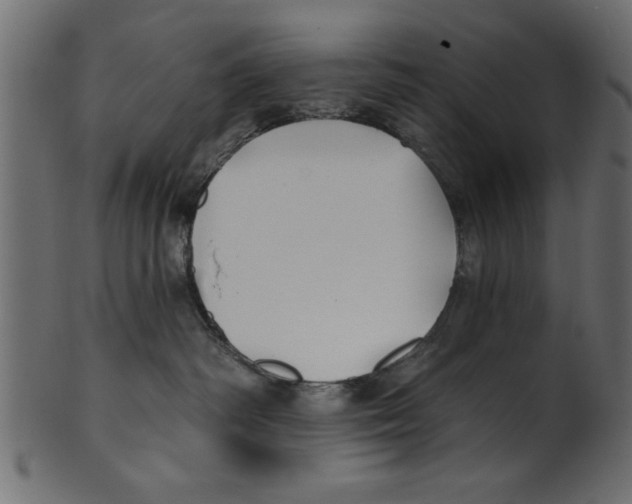 X0000100870334200807181242
