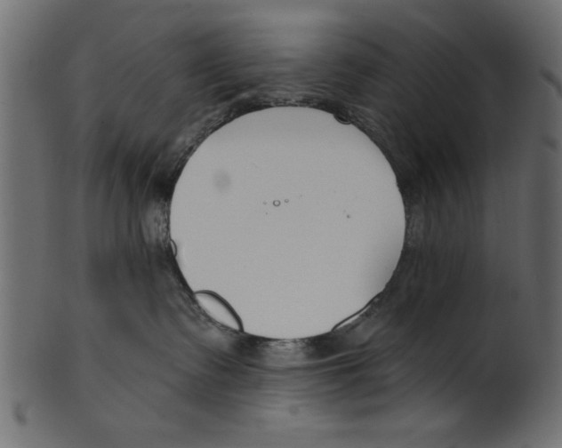 X0000100870335200807181242
