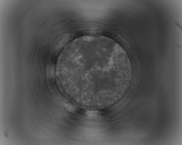 X0000100870336200807181242