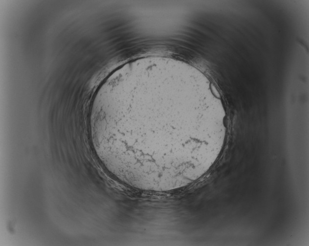 X0000100870337200807181241