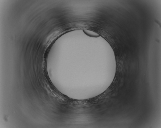 X0000100870338200807181241