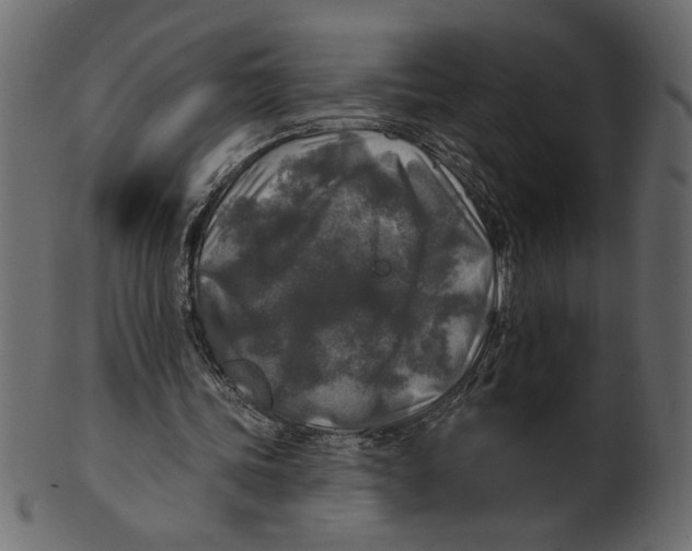 X0000100870339200807181241