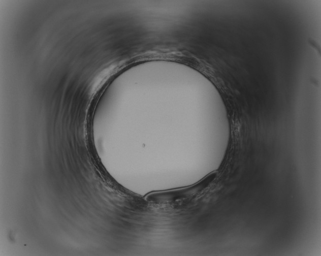X0000100870340200807181241