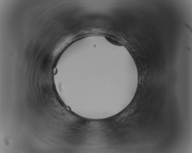 X0000100870341200807181241