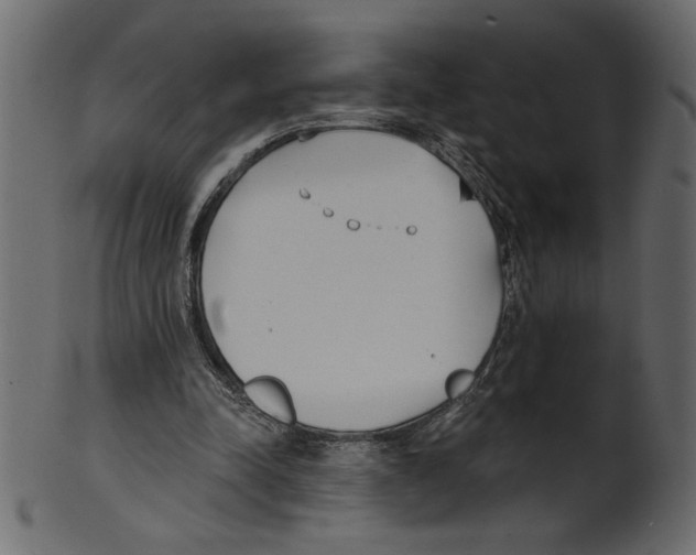 X0000100870342200807181241