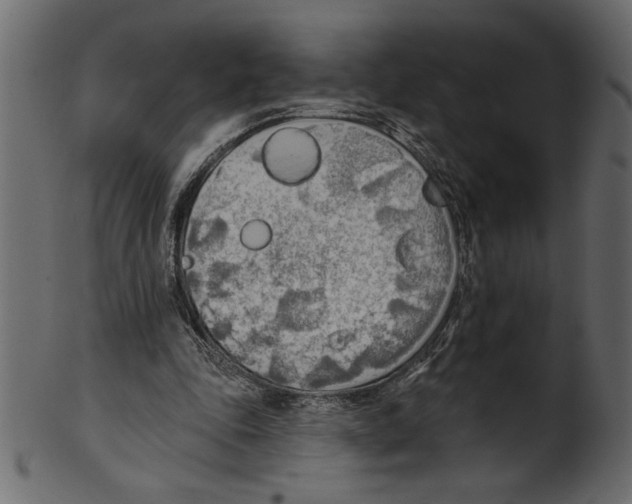 X0000100870343200807181241