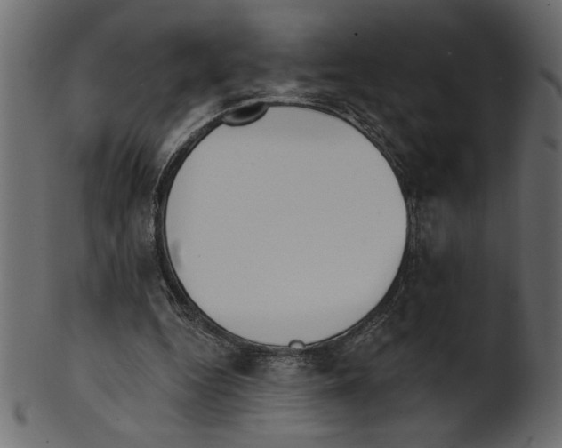 X0000100870344200807181241