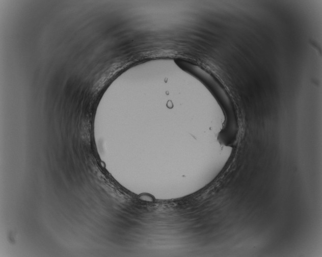 X0000100870345200807181241