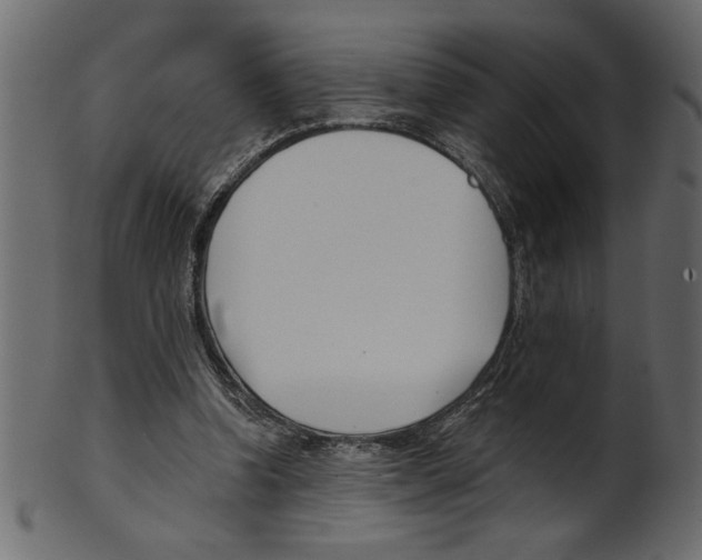 X0000100870346200807181241