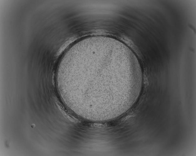 X0000100870347200807181241