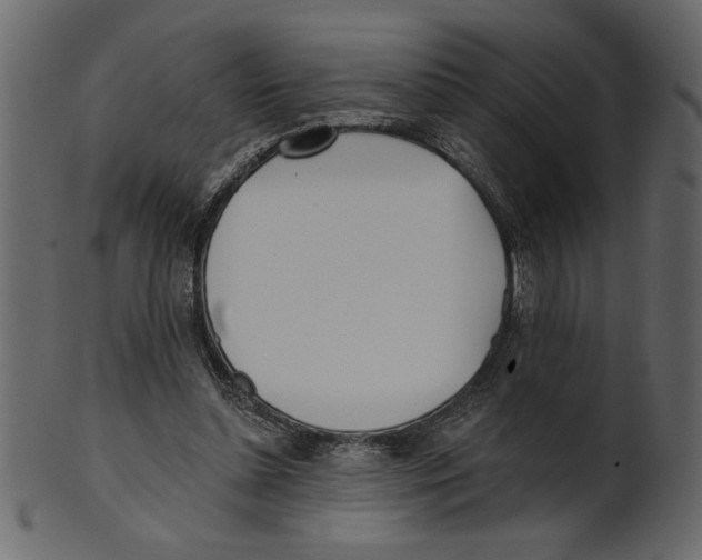 X0000100870348200807181241