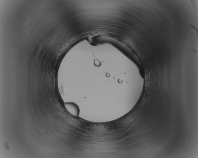 X0000100870349200807181241