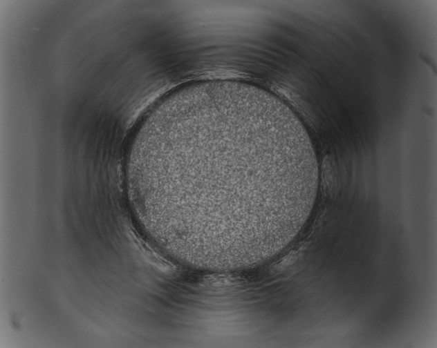 X0000100870351200807181241