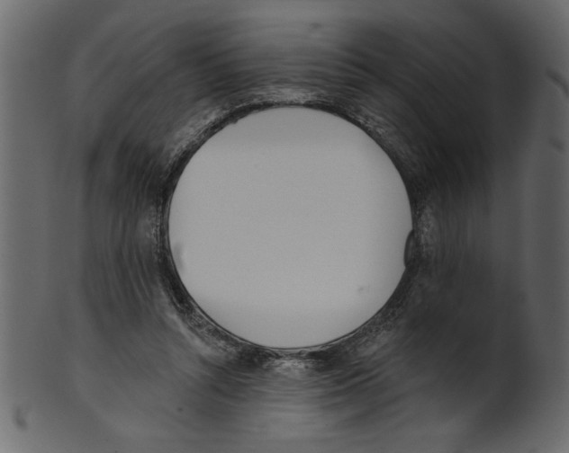 X0000100870352200807181241