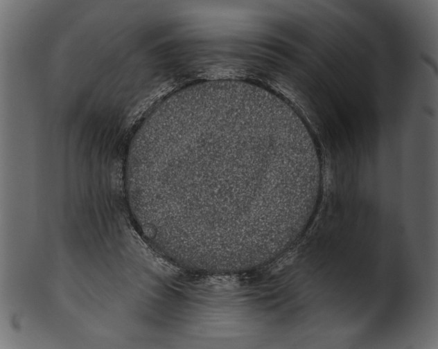 X0000100870353200807181241