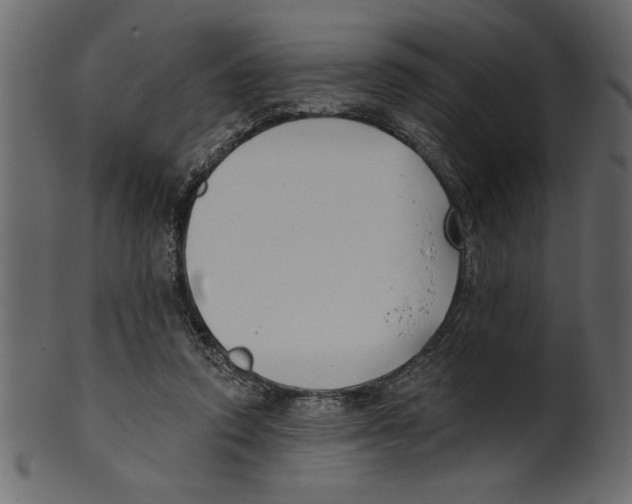 X0000100870354200807181241
