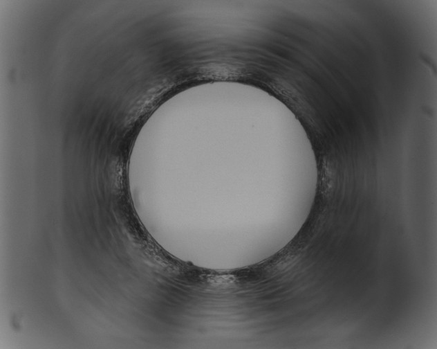 X0000100870355200807181241