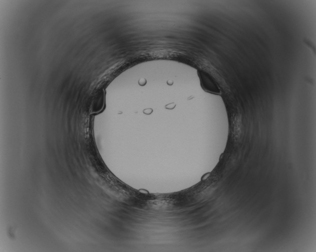 X0000100870356200807181241