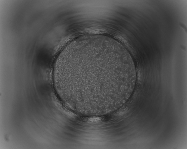 X0000100870357200807181241