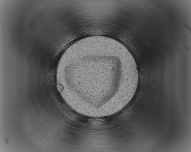 X0000100870359200807181242