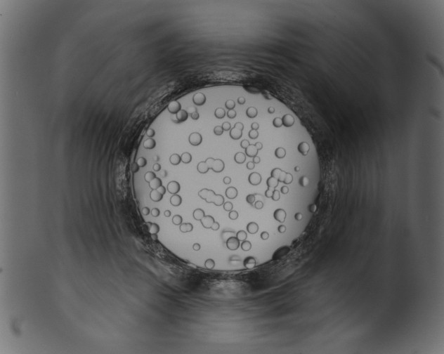 X0000100870360200807181242