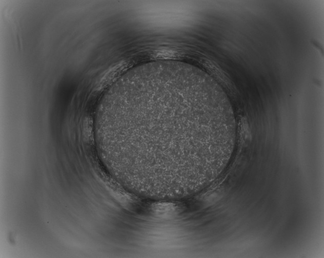 X0000100870361200807181242