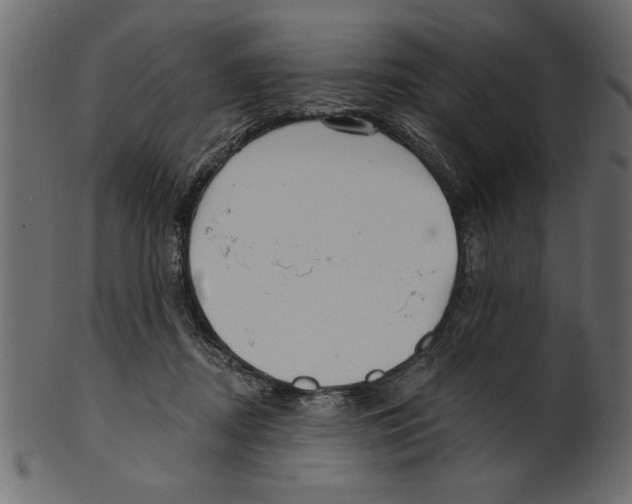 X0000100870362200807181242